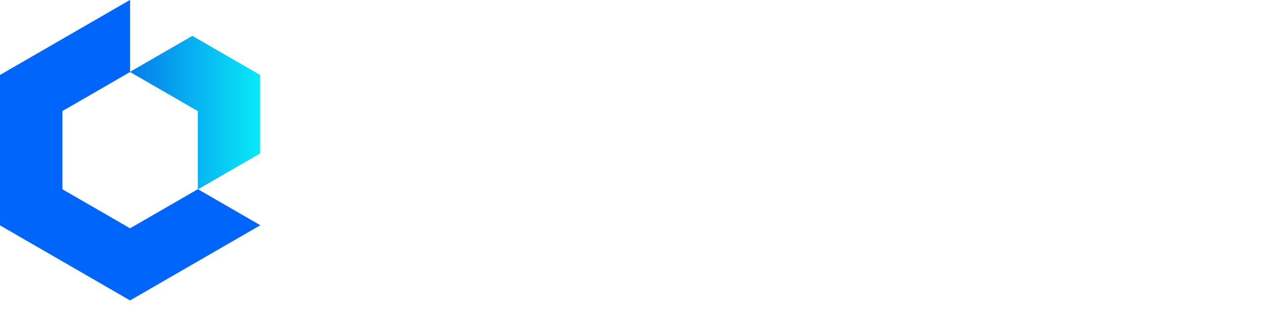 OzPath visa platform logo